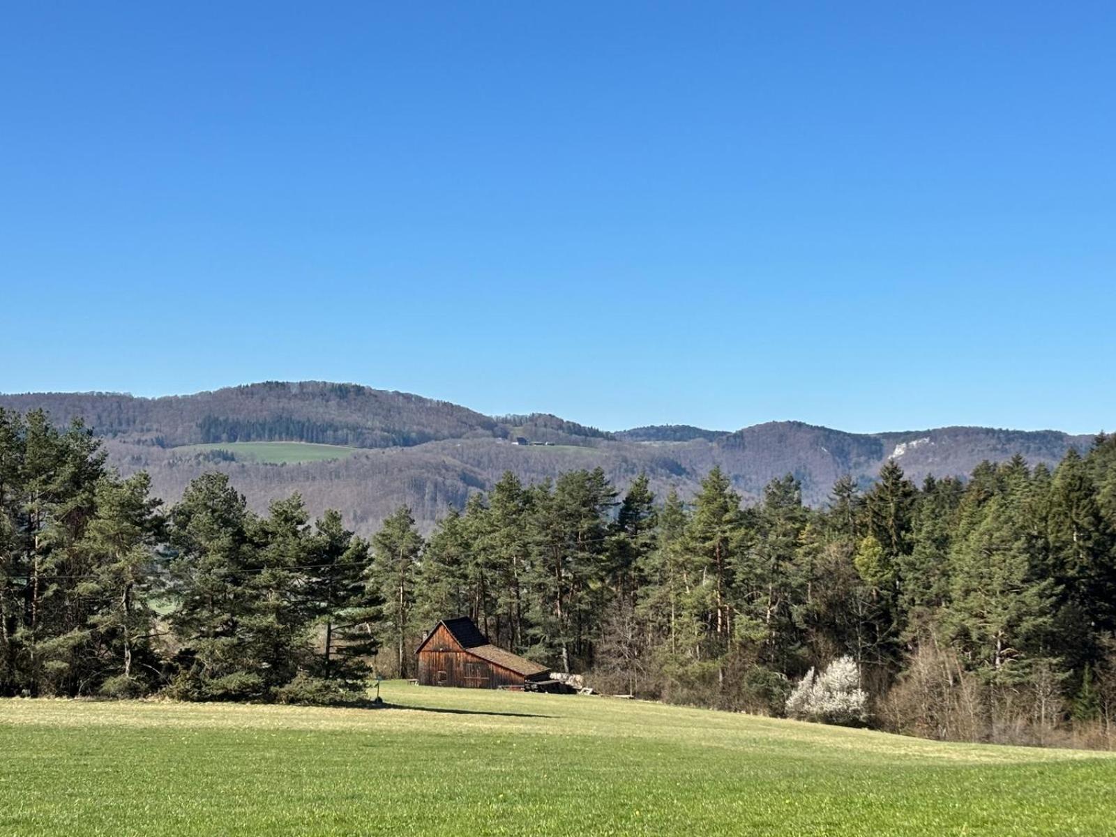 Atemberaubender Ausblick Mit Premium-Wanderwegen Vor Der Haustuer Albstadt Exterior foto